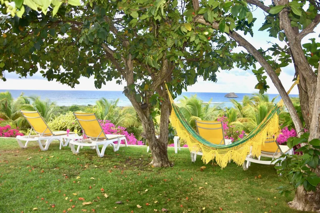 Villa Guadeloupe Saint François Accès Mer Piscine IGUANA BAY - Villa Zagadi