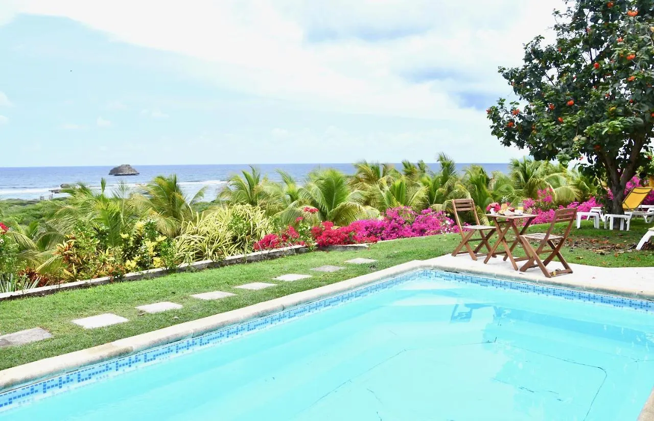 Villa Guadeloupe Saint François Accès Mer Piscine IGUANA BAY - Villa Zagadi