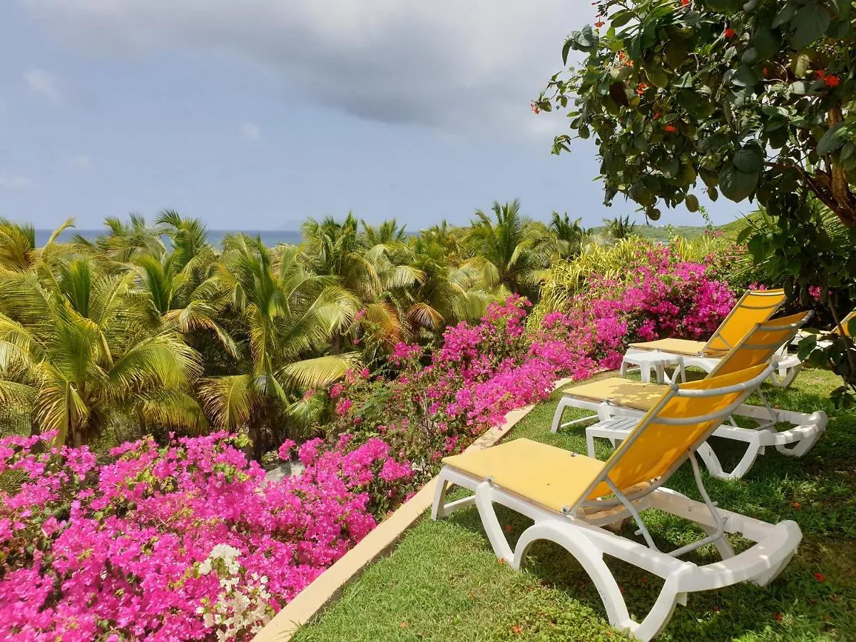 Villa Guadeloupe Saint François Accès Mer Piscine IGUANA BAY - Villa Zagadi 0*, Saint-Francois (Grande-Terre)