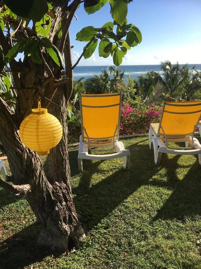 Villa Guadeloupe Saint François Accès Mer Piscine IGUANA BAY - Villa Zagadi Guadeloupe